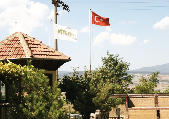 Misyon ve Vizyon